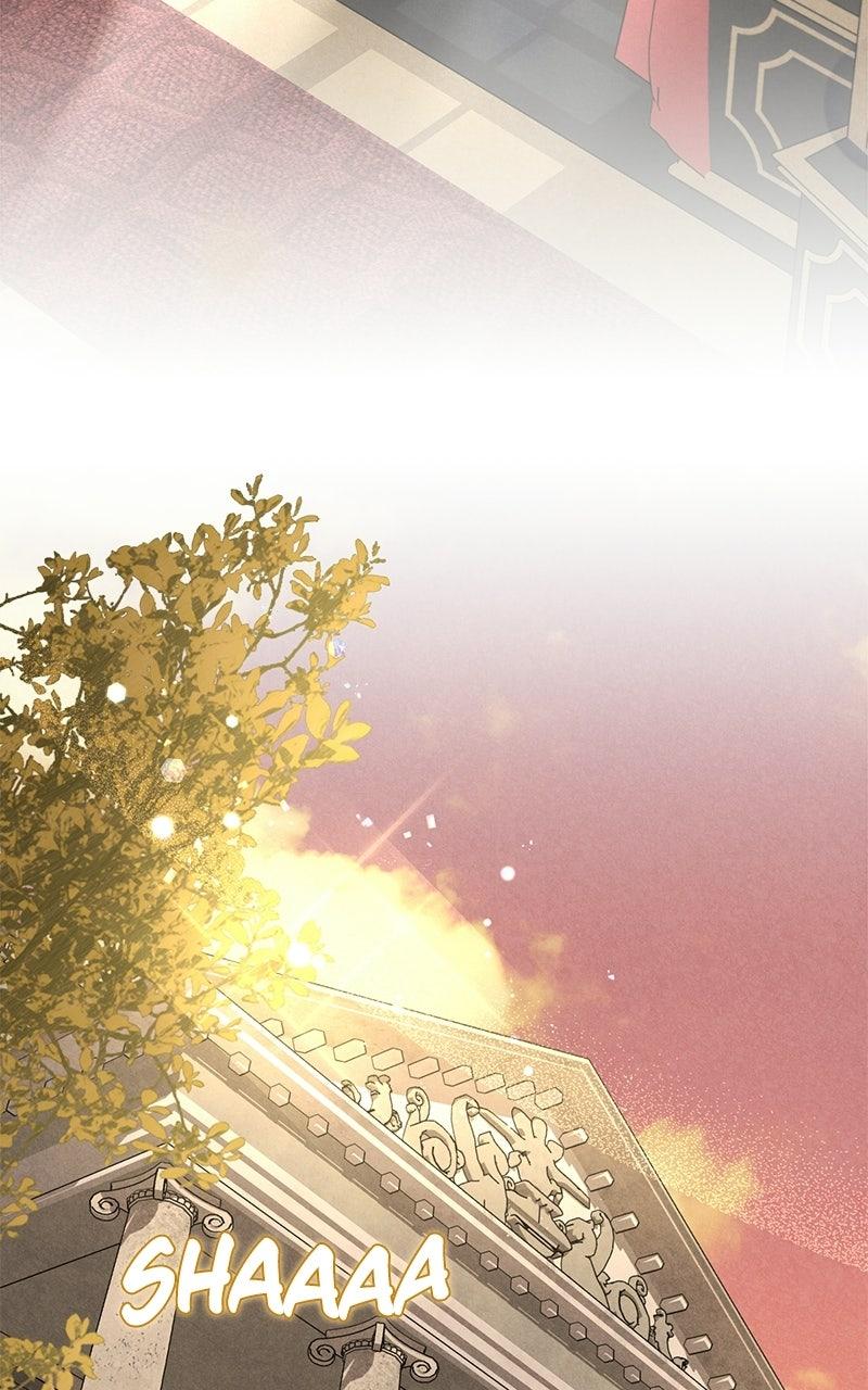 Where the Golden Rose Was Plucked - Chapter 8 - 80