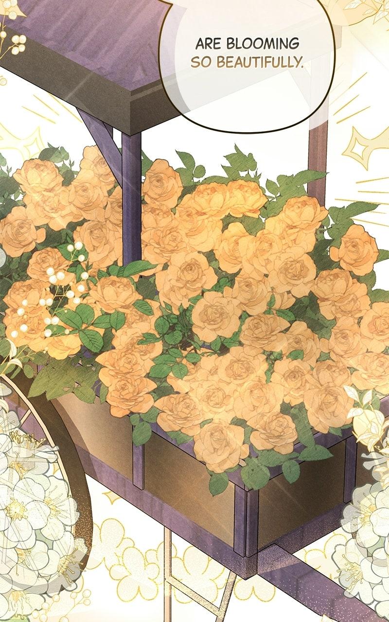 Where the Golden Rose Was Plucked - Chapter 8 - 97