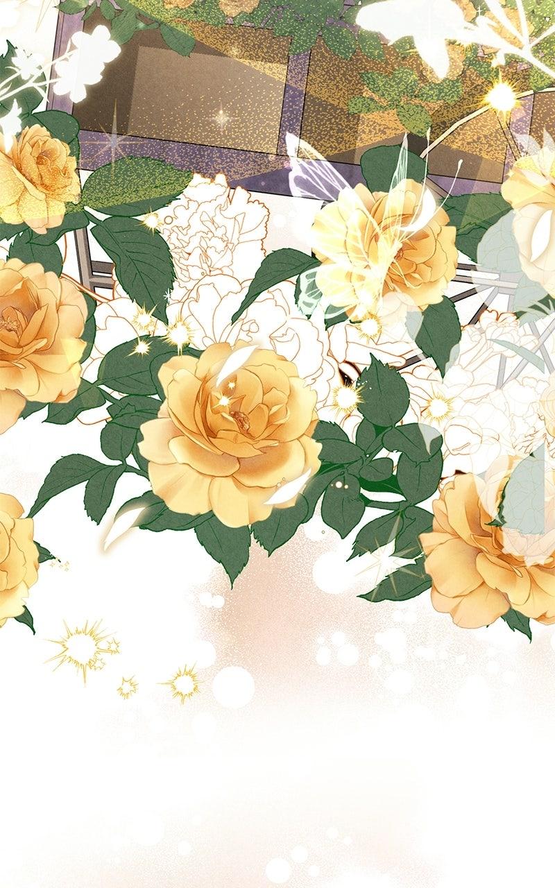 Where the Golden Rose Was Plucked - Chapter 8 - 103