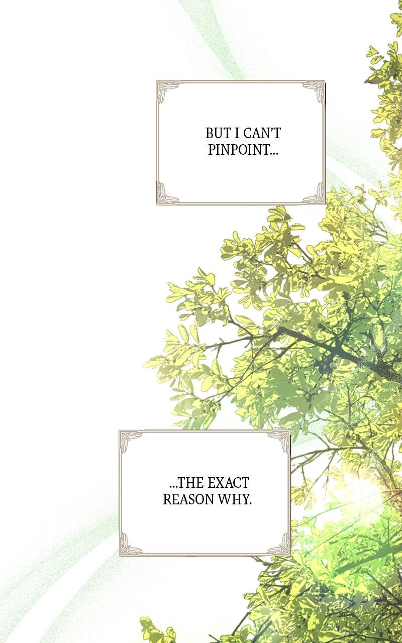 Where the Golden Rose Was Plucked Chapter 13 - Page 17