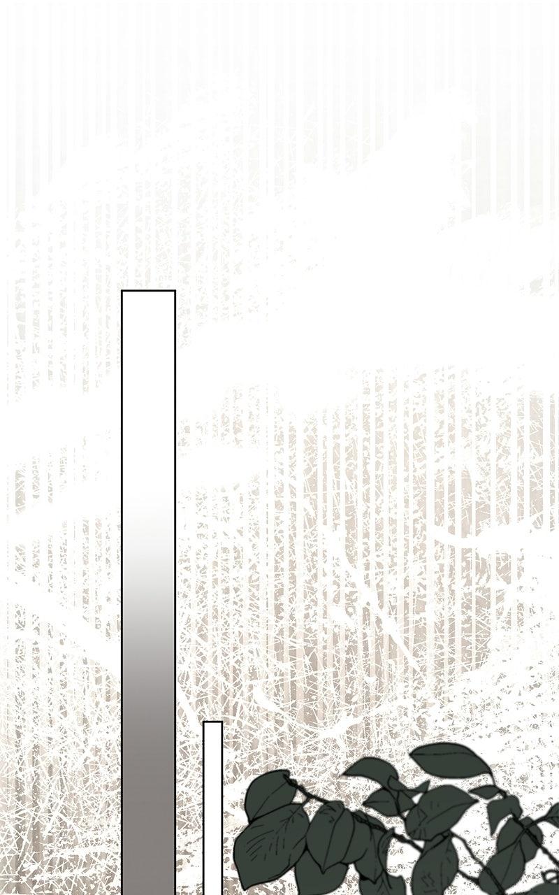 Where the Golden Rose Was Plucked Chapter 15 - Page 50