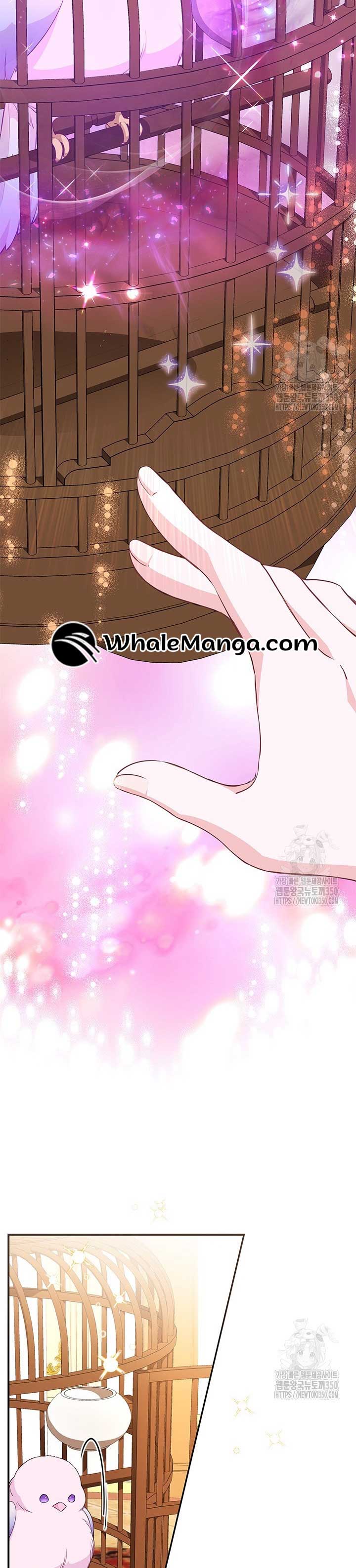 Why Are You Obsessed When I Reject Your Favor? Chapter 24 - Page 17