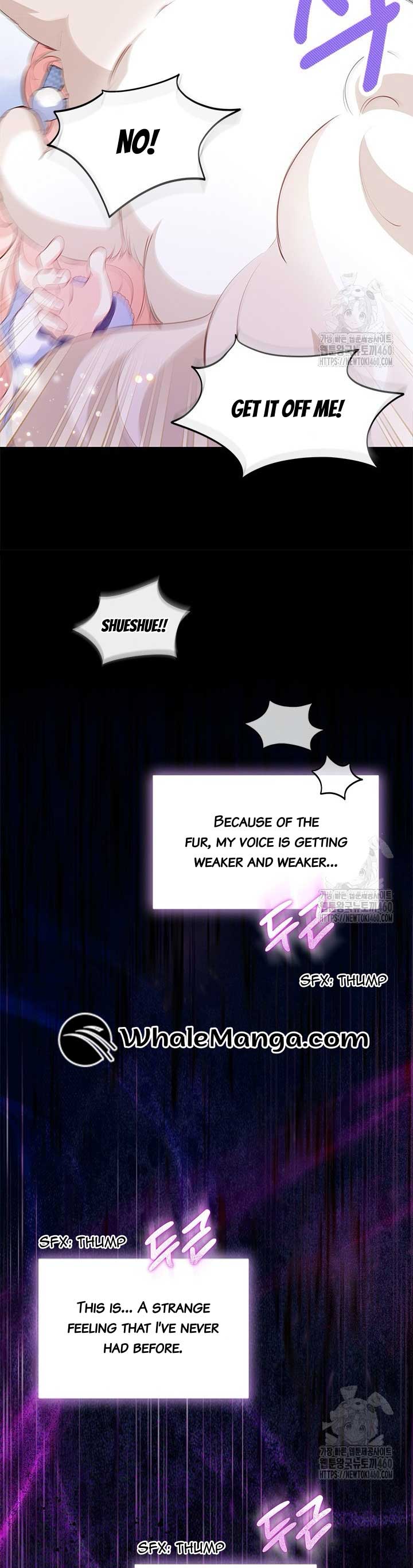 Why Are You Obsessed When I Reject Your Favor? Chapter 27 - Page 9