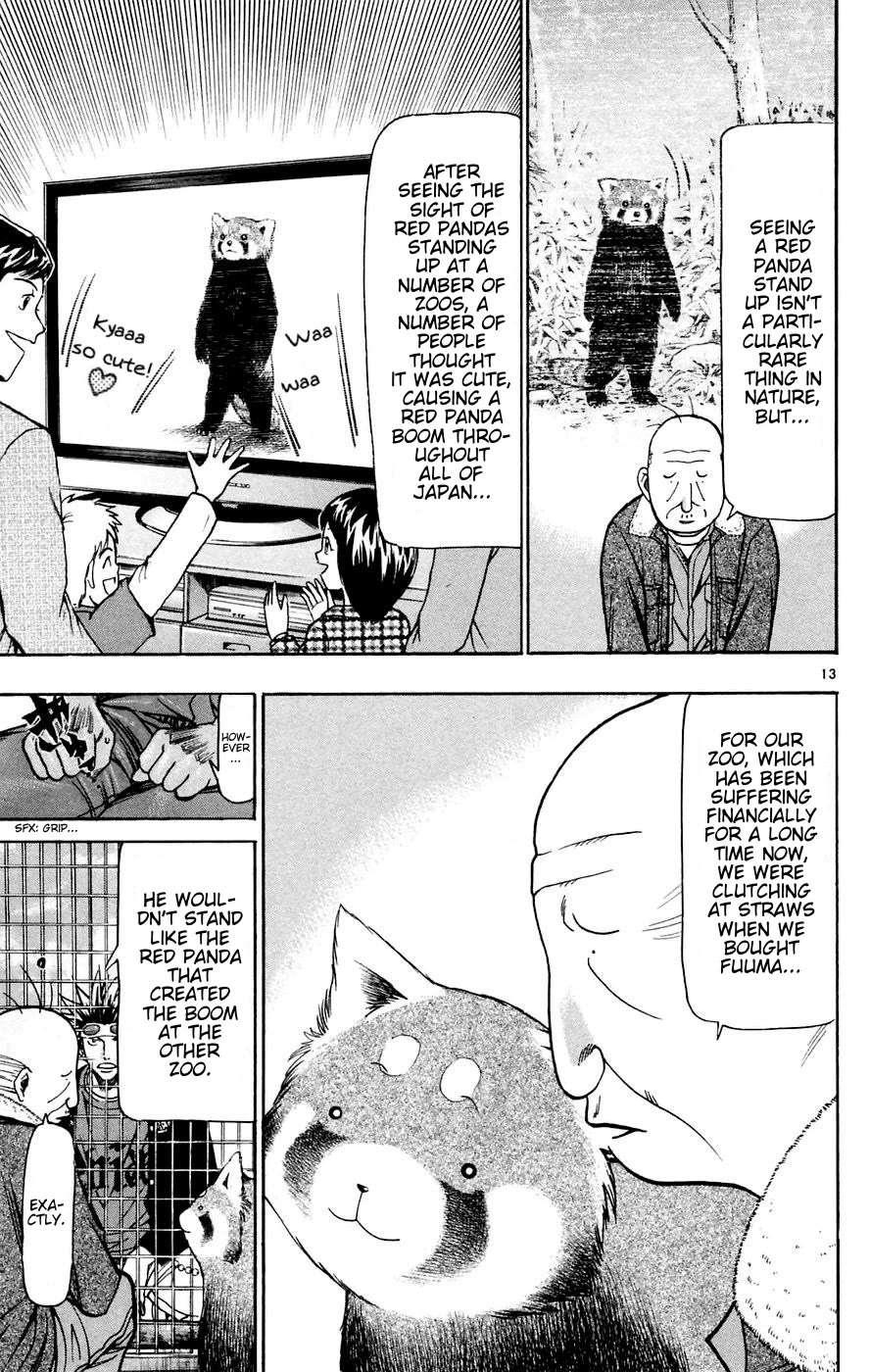 Wild Life Chapter 160 - Page 13