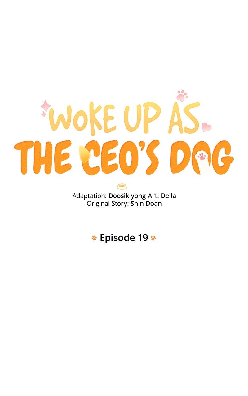 Woke Up as the CEO's Dog - Chapter 19 - 21