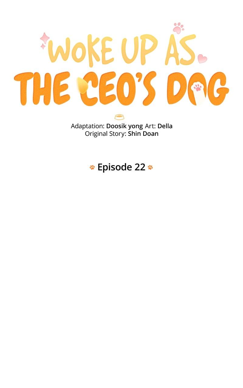 Woke Up as the CEO's Dog Chapter 22 - Page 13