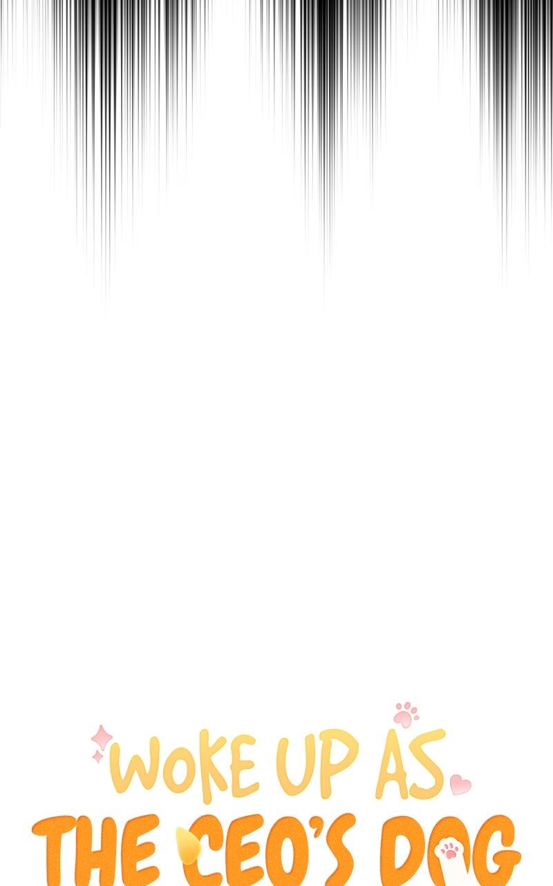 Woke Up as the CEO's Dog Chapter 24 - Page 38