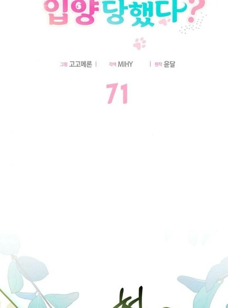 You’re a Cat, But You’ve Been Adopted by a Wolf Family? Chapter 71 - Page 72