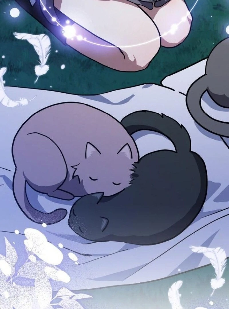 You’re a Cat, But You’ve Been Adopted by a Wolf Family? Chapter 72 - Page 25