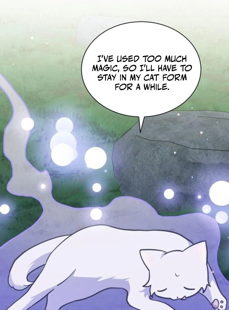 You’re a Cat, But You’ve Been Adopted by a Wolf Family? Chapter 72 - Page 31