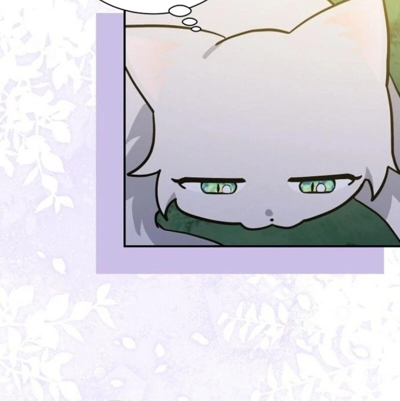 You’re a Cat, But You’ve Been Adopted by a Wolf Family? Chapter 72 - Page 33