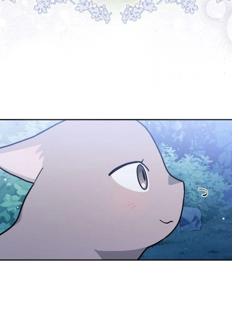 You’re a Cat, But You’ve Been Adopted by a Wolf Family? Chapter 72 - Page 49