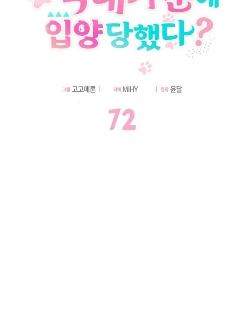 You’re a Cat, But You’ve Been Adopted by a Wolf Family? Chapter 72 - Page 63