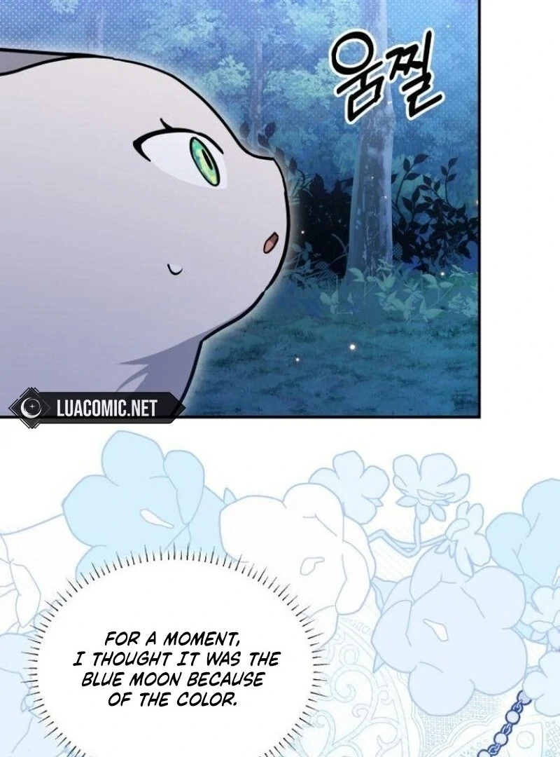 You’re a Cat, But You’ve Been Adopted by a Wolf Family? Chapter 72 - Page 69