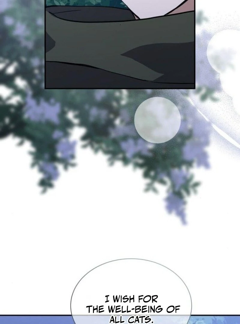 You’re a Cat, But You’ve Been Adopted by a Wolf Family? Chapter 73 - Page 8