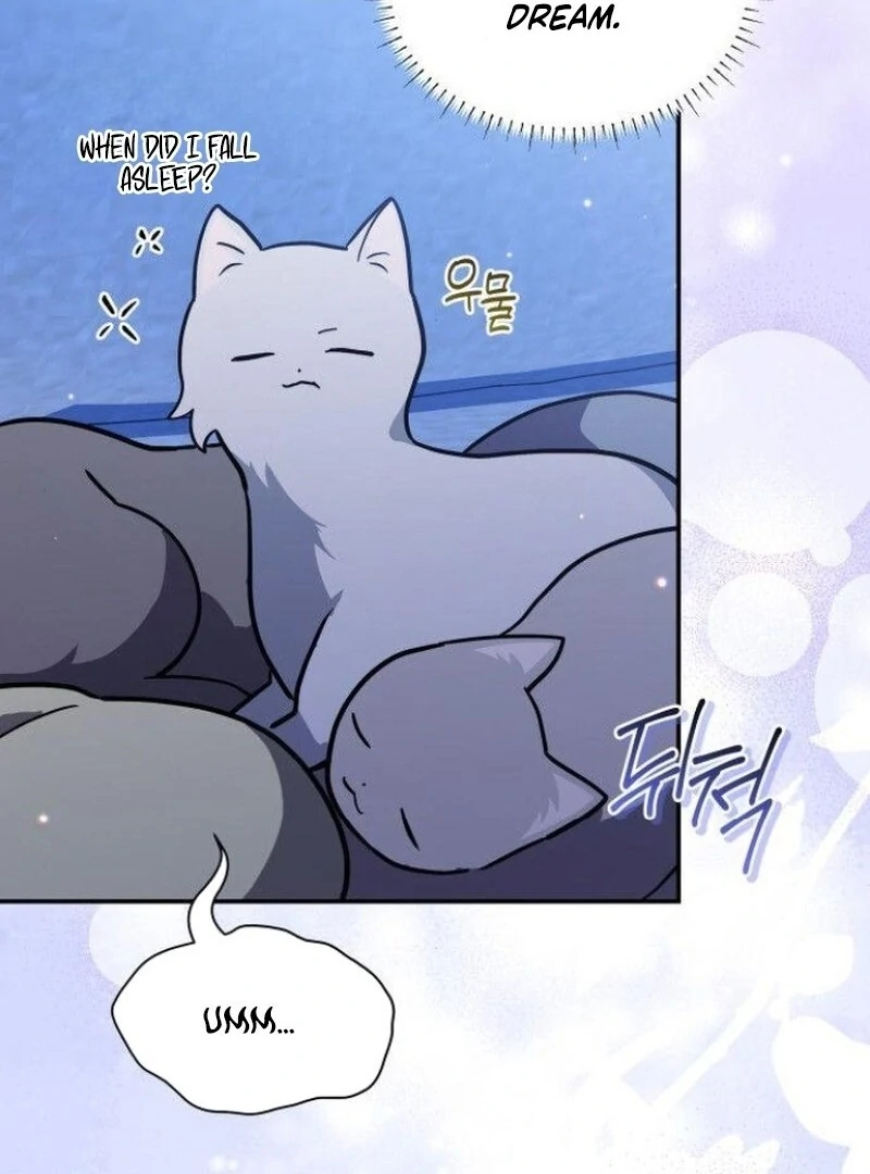 You’re a Cat, But You’ve Been Adopted by a Wolf Family? Chapter 73 - Page 80