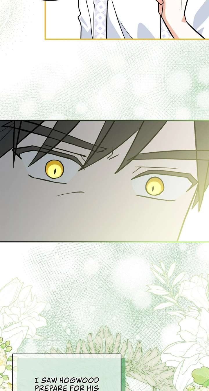 You’re a Cat, But You’ve Been Adopted by a Wolf Family? Chapter 75 - Page 24