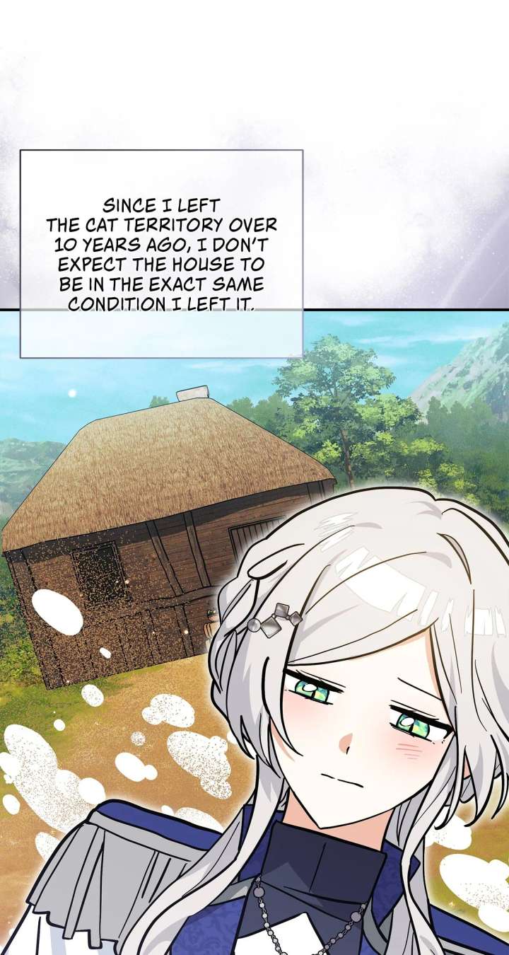 You’re a Cat, But You’ve Been Adopted by a Wolf Family? Chapter 75 - Page 50