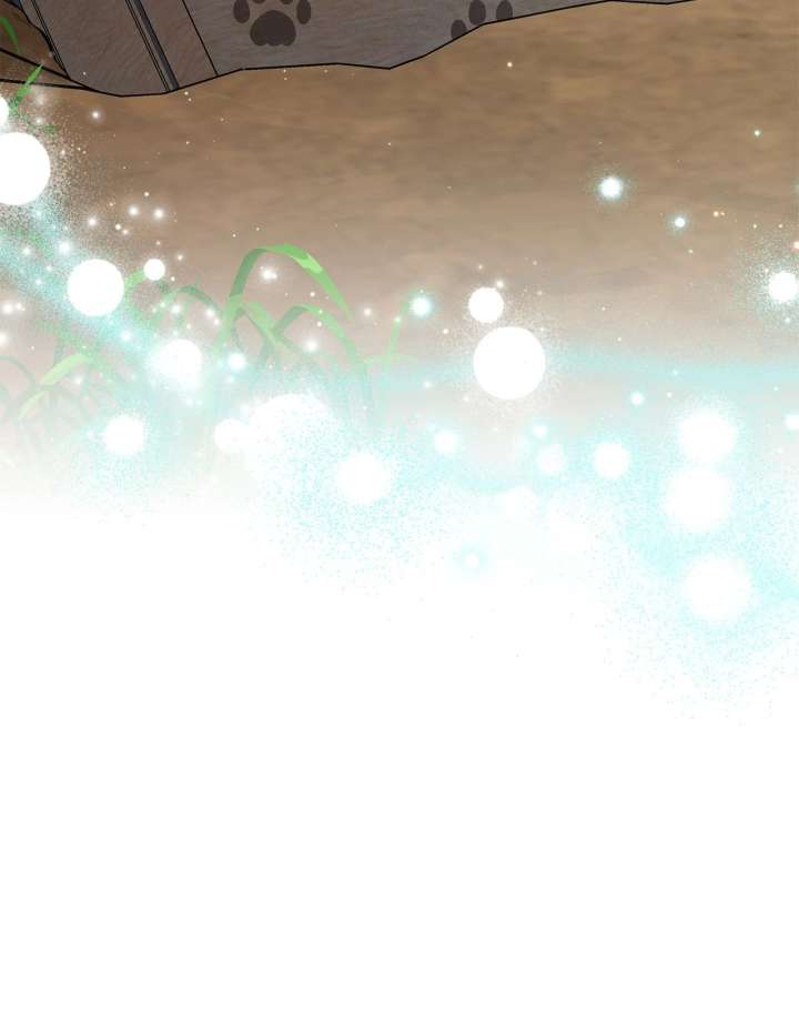 You’re a Cat, But You’ve Been Adopted by a Wolf Family? Chapter 75 - Page 88