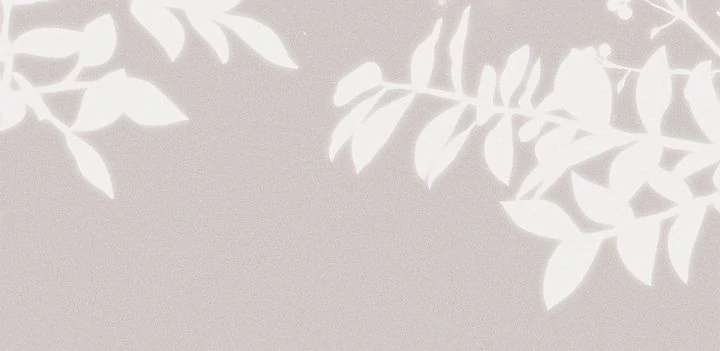 You’re a Cat, But You’ve Been Adopted by a Wolf Family? Chapter 76 - Page 22