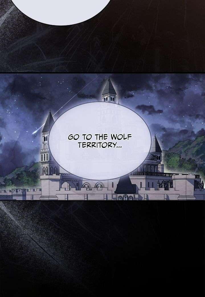 You’re a Cat, But You’ve Been Adopted by a Wolf Family? Chapter 76 - Page 26