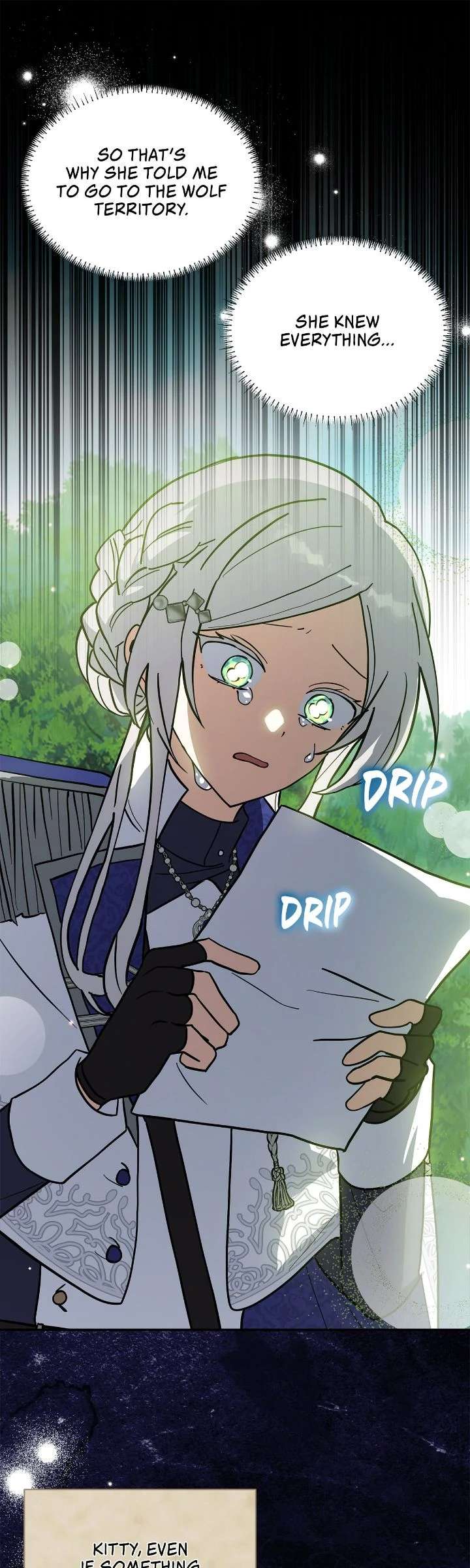 You’re a Cat, But You’ve Been Adopted by a Wolf Family? Chapter 76 - Page 27