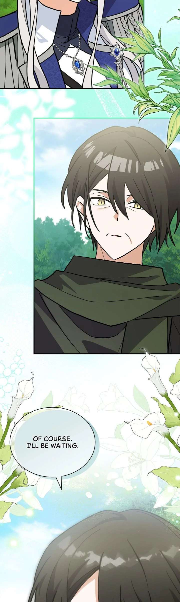 You’re a Cat, But You’ve Been Adopted by a Wolf Family? Chapter 76 - Page 40